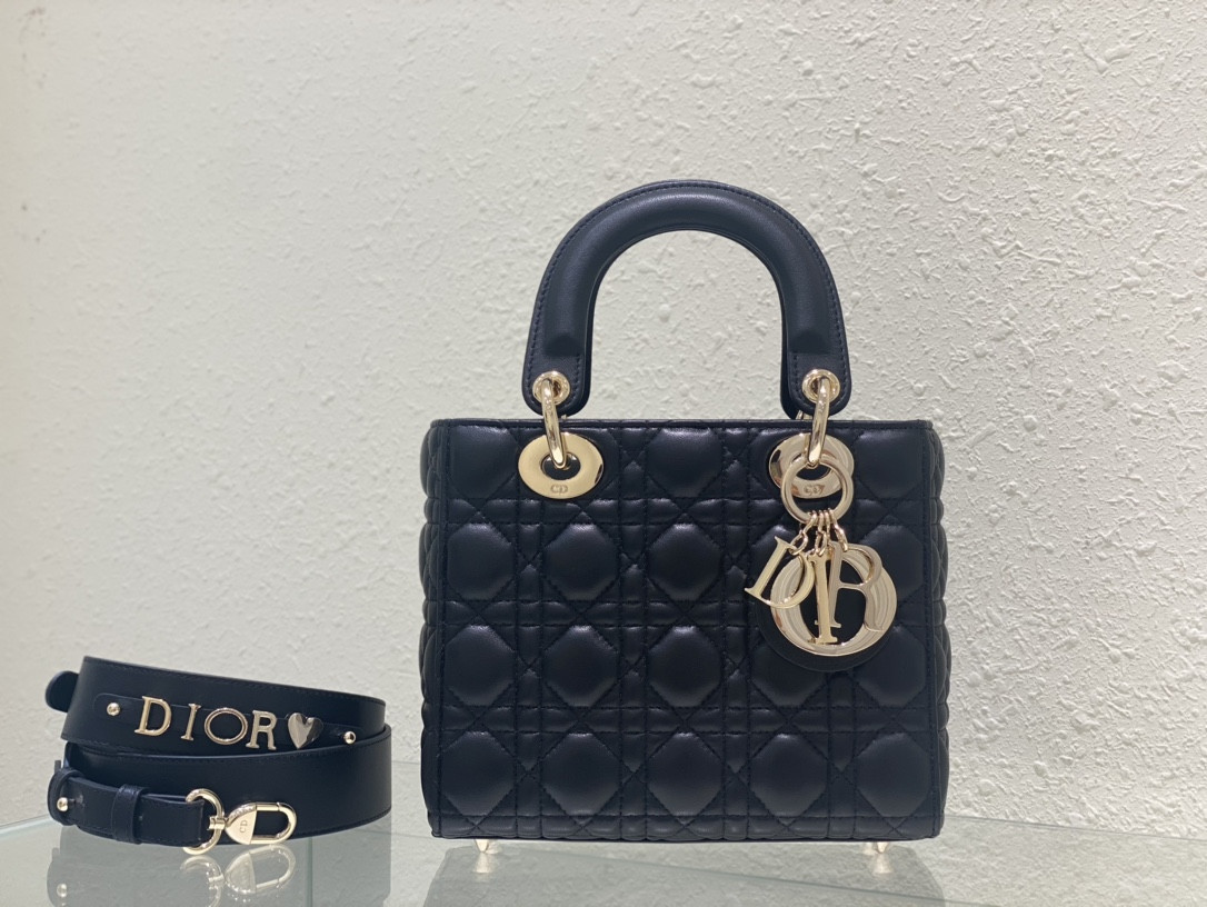 Small Lady D*0r My ABCD*0r Bag 8 x 6.5 x 3 inches