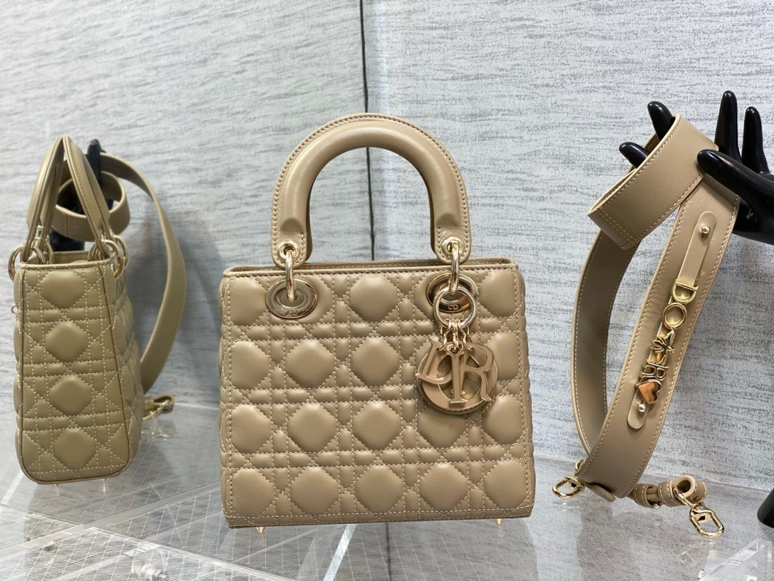 Medium Lady D*0r Bag 24 x 20 x 12 cm