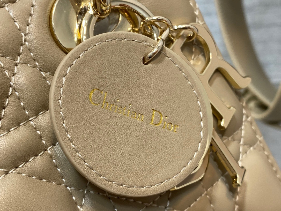 Medium Lady D*0r Bag 24 x 20 x 12 cm