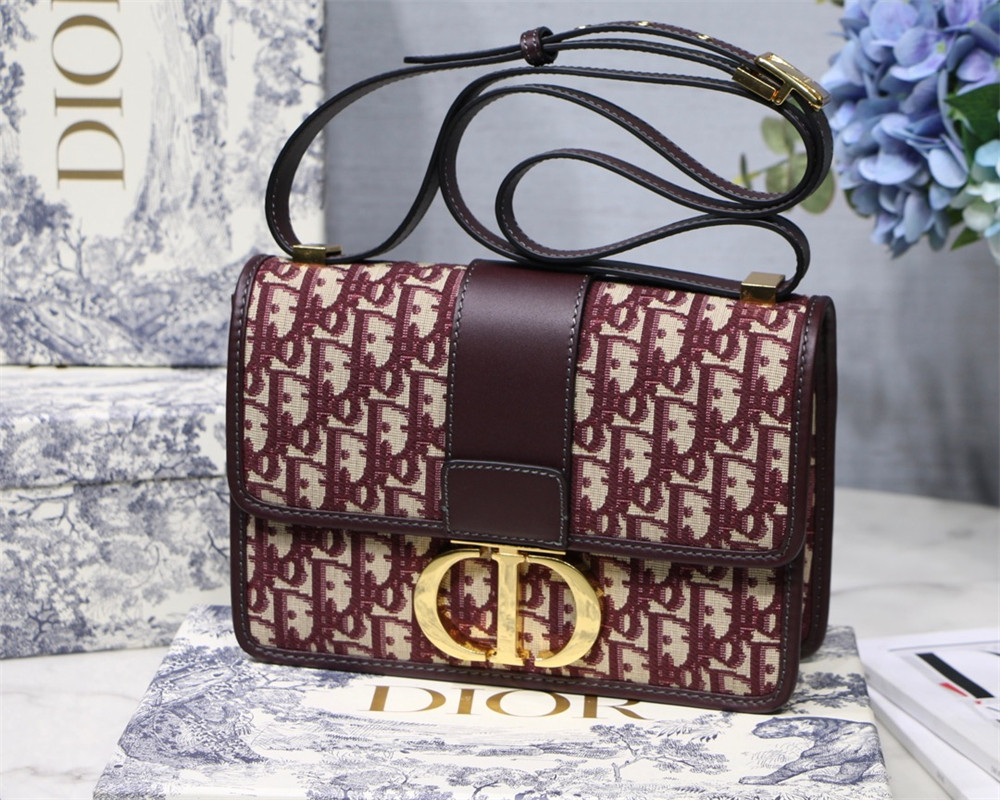 D*0r 30 MONTAIGNE CHAIN BAG ROSERED 24x18x8 cm