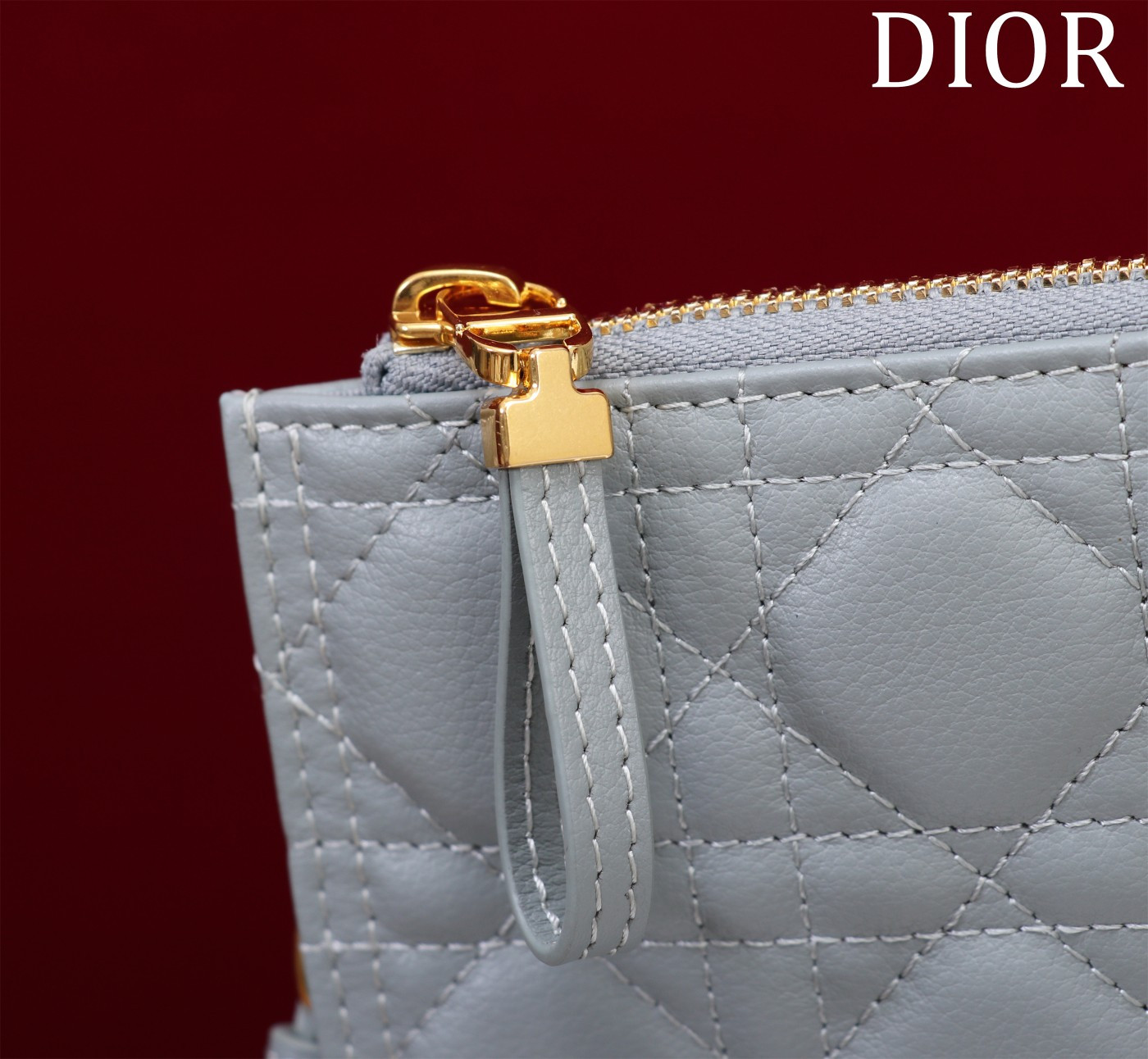 Large D*0r Caro Daily Pouch 30 x 21.5 cm