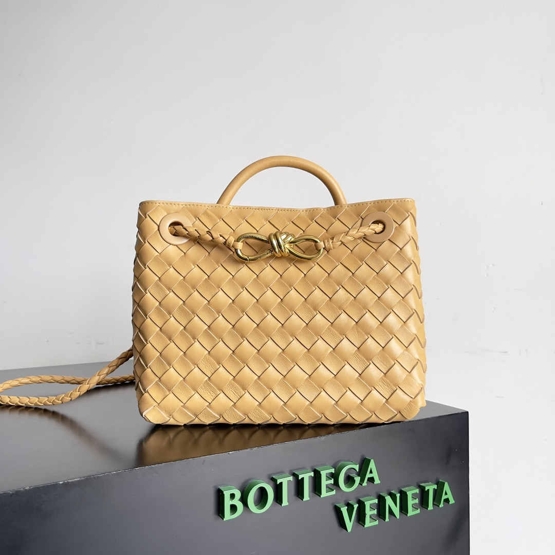 Bo*te*ga Ve*ne*ta Small Andiamo 25x22x10.5cm