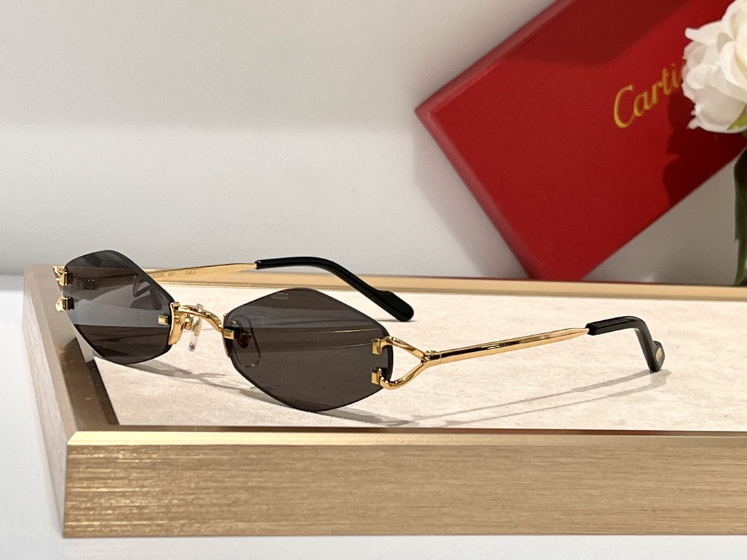 Ca*t*er Glasses CT8100359 48-20-140