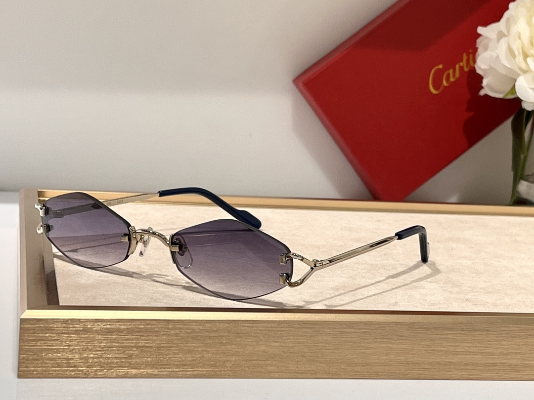 Ca*t*er Glasses CT8100359 48-20-140