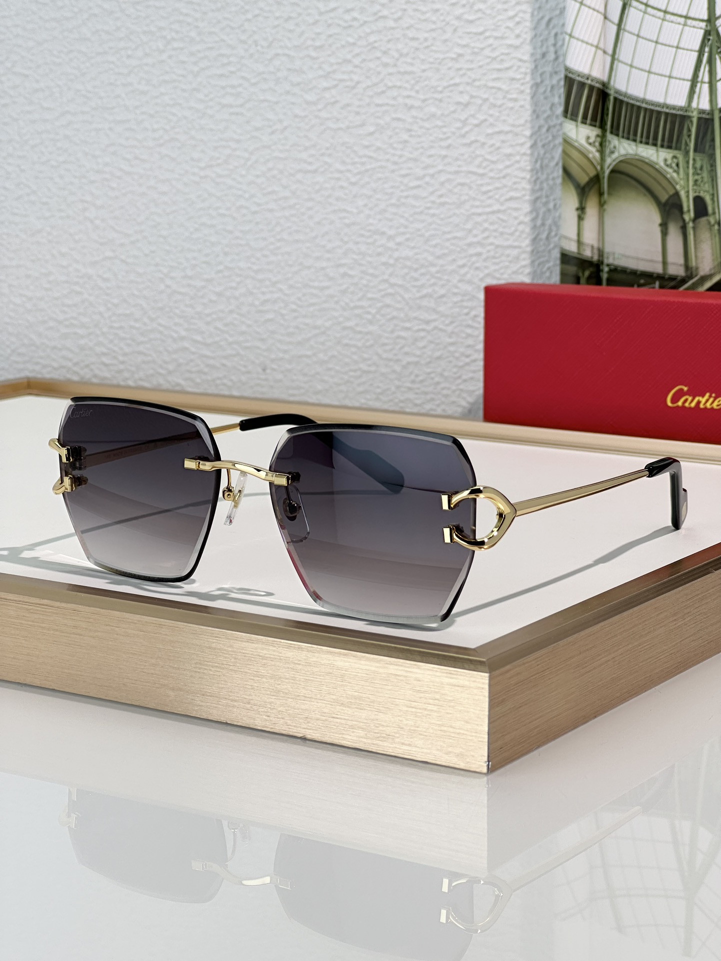 Ca*t*er Glasses CT0466S 58-16-145