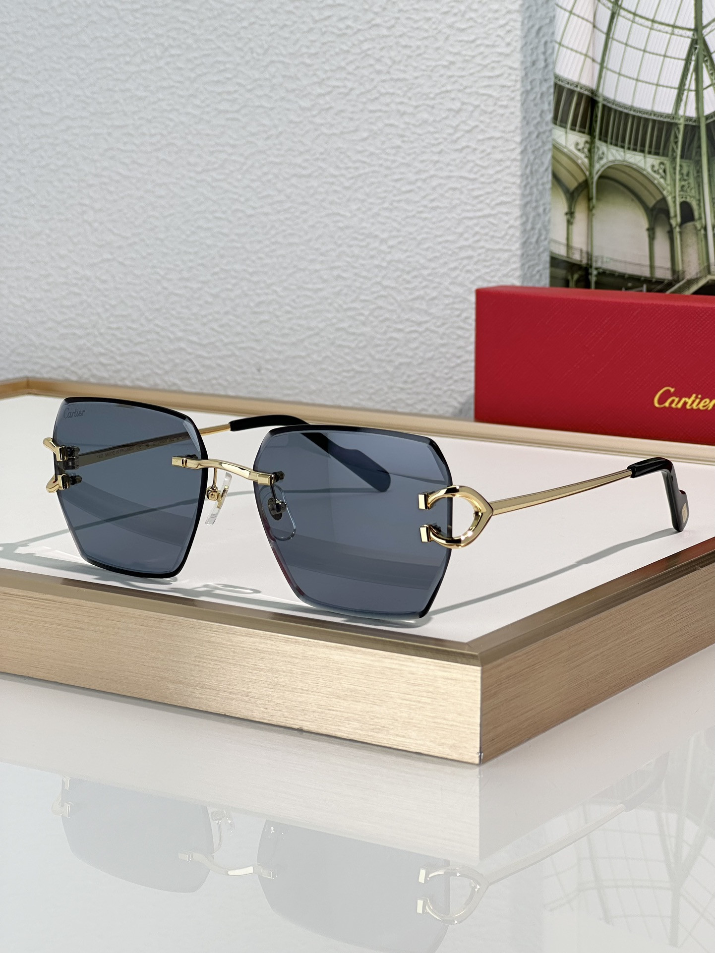 Ca*t*er Glasses CT0466S 58-16-145